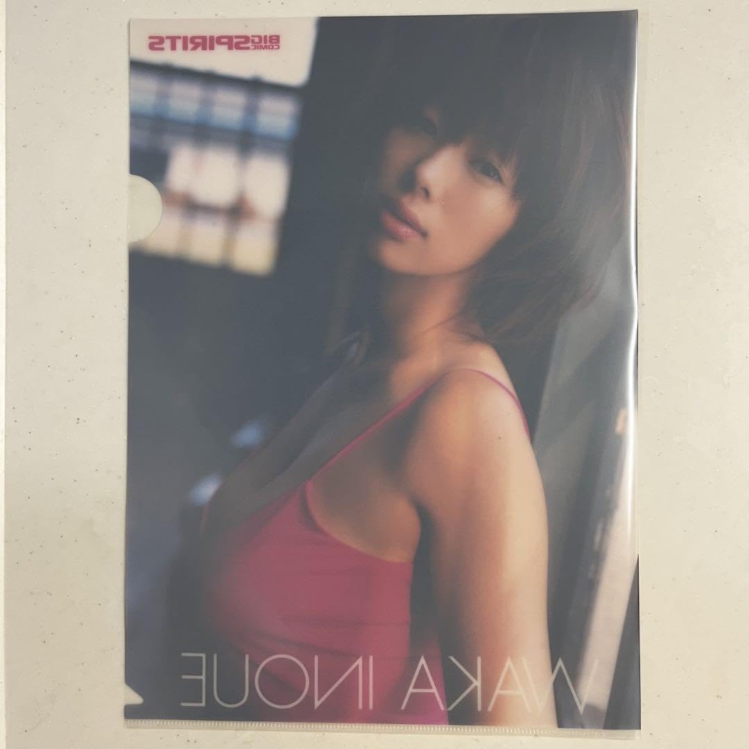 Amazon.co.jp: 井上和香 クリアファイル3枚セット ビッグコミック